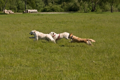 IMG_0995_LR.jpg