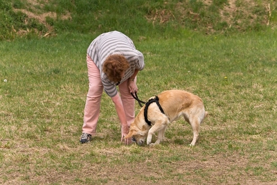 IMG_1033_LR.jpg