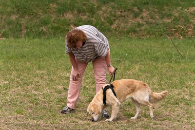 IMG_1035_LR.jpg