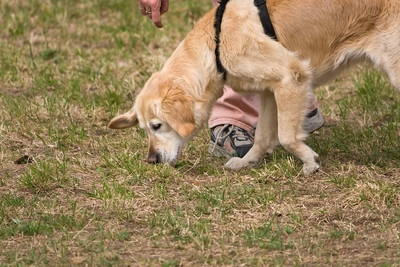 IMG_1037_LR.jpg