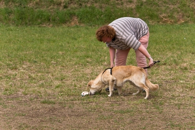 IMG_1038_LR.jpg