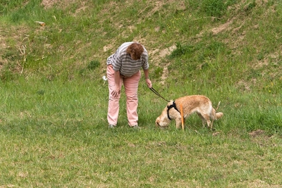 IMG_1041_LR.jpg