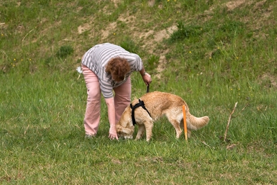 IMG_1042_LR.jpg