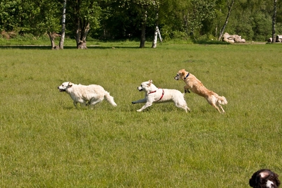 IMG_0997_LR.jpg