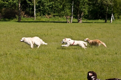 IMG_0998_LR.jpg