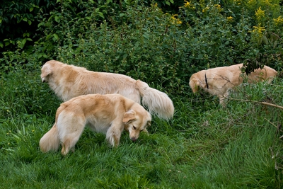IMG_2977_LR.jpg