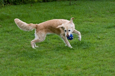IMG_2981_LR.jpg