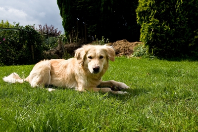IMG_2987_LR.jpg