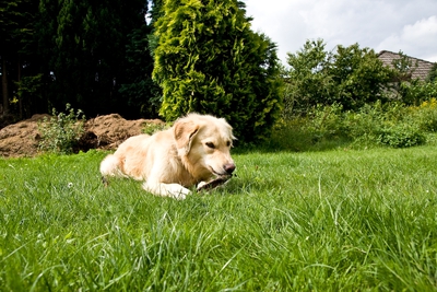 IMG_2992_LR.jpg