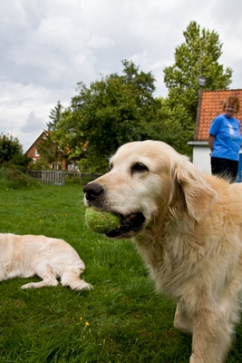 IMG_2993_LR.jpg