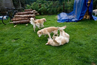 IMG_2996_LR.jpg