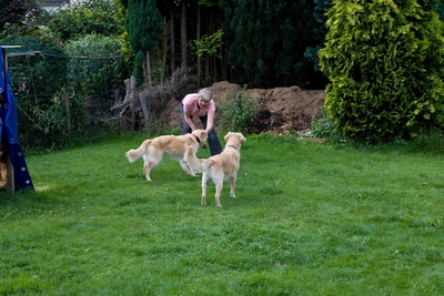 IMG_2998_LR.jpg