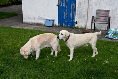 IMG_2999_LR.jpg