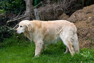 IMG_3020_LR.jpg