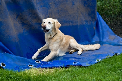 IMG_3024_LR.jpg