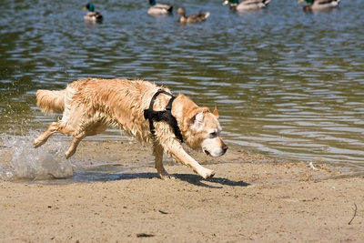 IMG_1059_LR.jpg