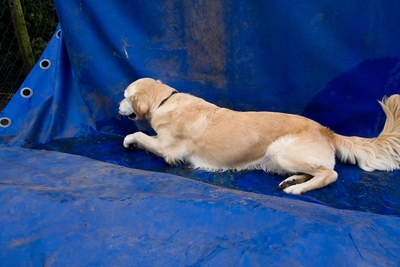 IMG_3033_LR.jpg