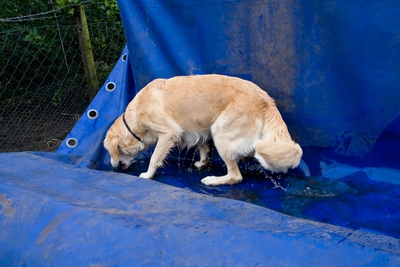 IMG_3034_LR.jpg