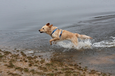 IMG_9077_LR_raw.jpg