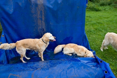 IMG_3043_LR.jpg