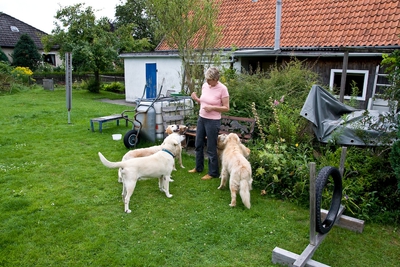 IMG_3064_LR.jpg