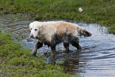 IMG_0347_LR.jpg