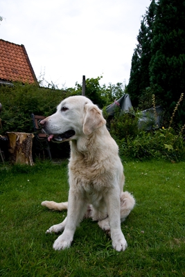 IMG_3080_LR.jpg
