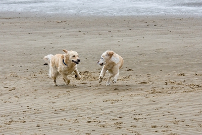 IMG_9646_LR.jpg