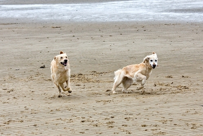 IMG_9647_LR.jpg
