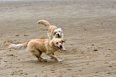IMG_9652_LR.jpg