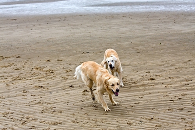 IMG_9653_LR.jpg