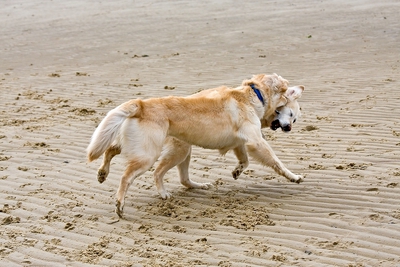 IMG_9660_LR.jpg