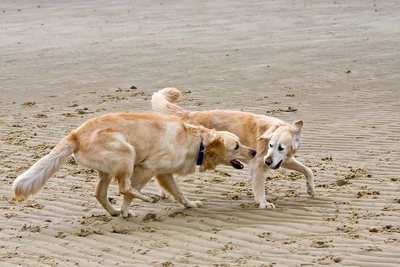 IMG_9671_LR.jpg