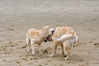 IMG_9674_LR.jpg