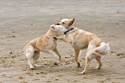 IMG_9675_LR.jpg