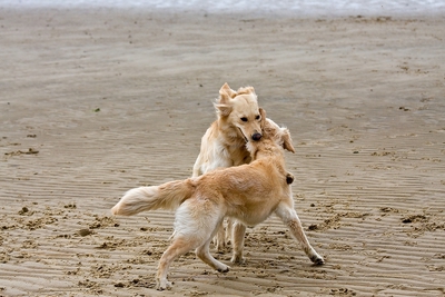 IMG_9677_LR.jpg