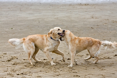 IMG_9679_LR.jpg