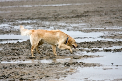 IMG_9682_LR.jpg