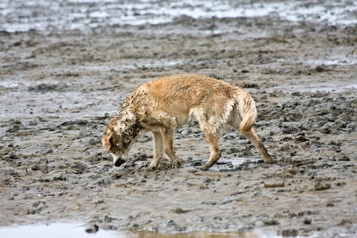 IMG_9692_LR.jpg
