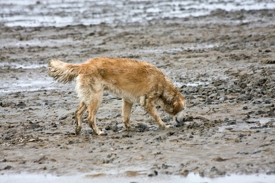 IMG_9694_LR.jpg