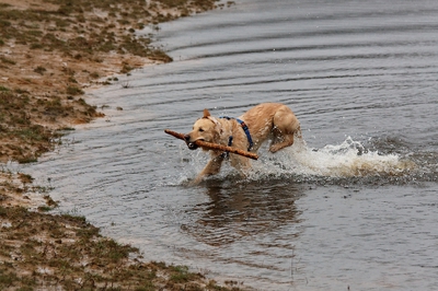 IMG_9085_LR_raw.jpg
