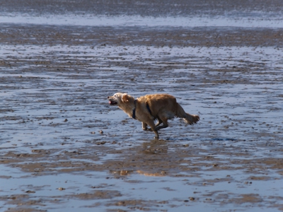 PA032127.jpg