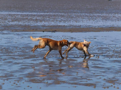 PA032136.jpg