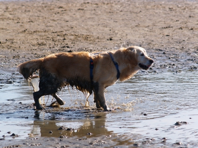 PA032149.jpg