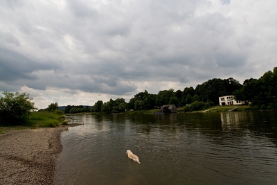 IMG_2204_LR.jpg