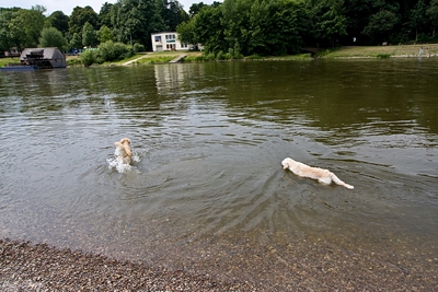 IMG_2222_LR.jpg