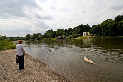 IMG_2224_LR.jpg