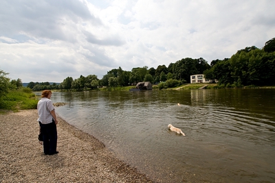 IMG_2225_LR.jpg