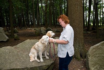 IMG_2249_LR.jpg
