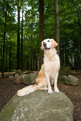 IMG_2255_LR.jpg